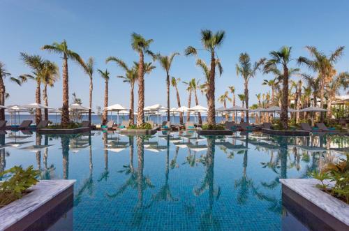 帕福斯Amavi, MadeForTwo Hotels - Paphos的一座棕榈树和遮阳伞的游泳池
