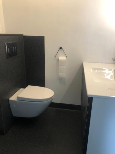 托尔斯港A pearl in the center of the center of Thorhavn的浴室配有白色卫生间和盥洗盆。