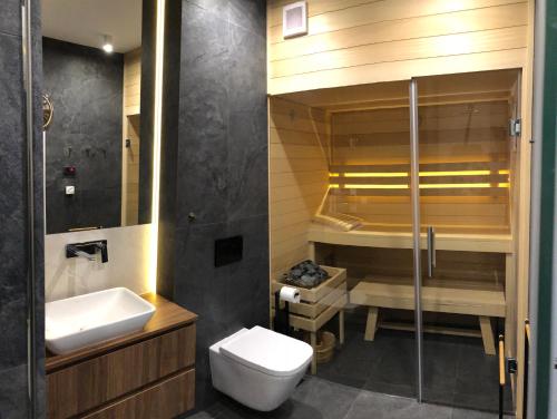 梅彻林基Kite Apart的浴室配有卫生间、盥洗盆和淋浴。