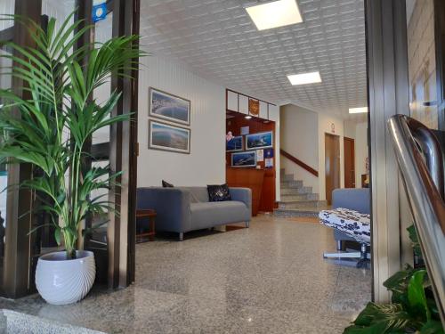波多诺伏Hotel Nuevo Cachalote的一间医院走廊,里面装有盆栽植物
