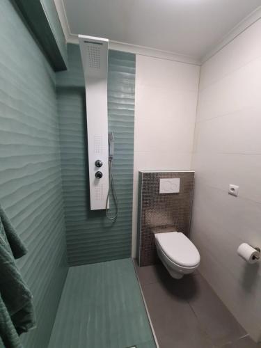 奥比多斯PÉROLA D'ÓBIDOS t1的一间带卫生间和淋浴的浴室