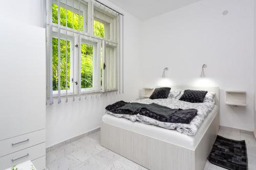 索科矿泉村Vila Ćirković - U centru Sokobanje的白色卧室设有一张大床和两个窗户