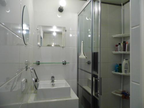 Nouan-le-FuzelierLe petit Marais n° 2的白色的浴室设有水槽和淋浴。