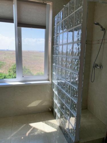 康斯坦察拉瑟尔酒店的玻璃墙和窗户的淋浴间