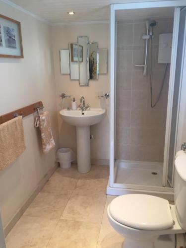 浦耳San Michele Guest House的带淋浴、卫生间和盥洗盆的浴室