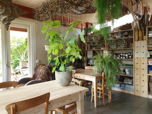 斯霍尔Appartementen Het Oude Atelier的用餐室配有木桌和盆栽植物