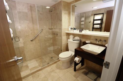 华雷斯城Hotel Mesaluna Near American Consulate的带淋浴、卫生间和盥洗盆的浴室