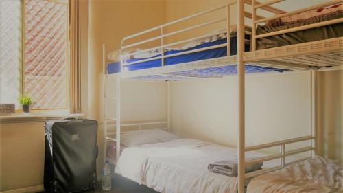 珀斯myOZexp Palmerston Lodge的一间卧室配有两张双层床和行李箱