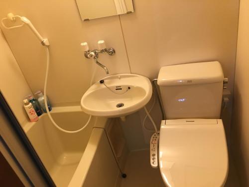 Hukueコンドミニアムホテル Stay inn Blue的一间带卫生间和水槽的小浴室