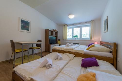 伏尔塔瓦河畔利普诺Apartmán Lipno 20的一间卧室配有三张床、一张桌子和一张书桌