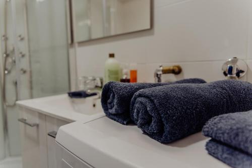 哈米纳Hamina City Apartments的浴室设有水槽和位于台面的蓝色毛巾