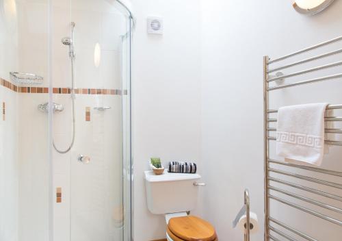 普里茅斯Bovisand Lodge Holiday Park的一间带卫生间和淋浴的浴室