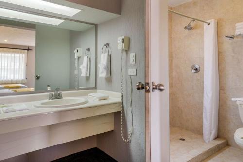 彼德拉斯内格拉斯皮德拉内格拉品质酒店的浴室配有盥洗盆和带镜子的淋浴