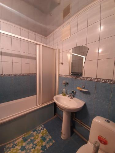 伊万诺沃Zubkovskiy Hotel的一间带水槽、卫生间和镜子的浴室