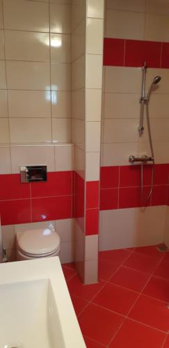 波卢巴库苏斯Casa Martin的红色和白色的浴室设有卫生间和淋浴。