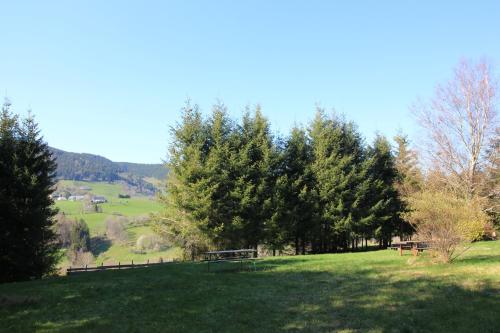 勒邦翁Gîte Les Jonquilles的草地上种有树木和长凳的草地