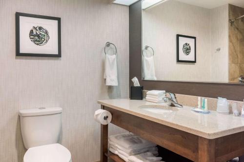 克拉伦维尔Quality Hotel的一间带水槽、卫生间和镜子的浴室