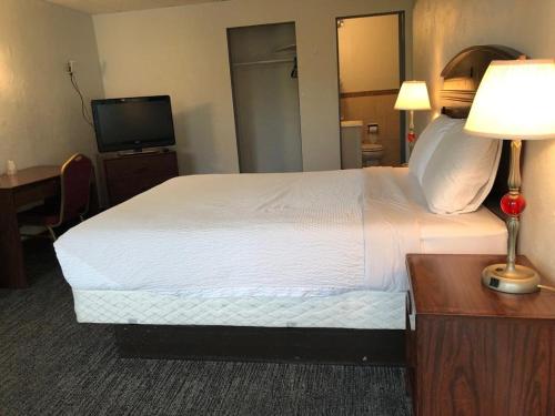 波特兰Portland Super Value Inn的酒店客房配有一张床、一张书桌和一台电视。