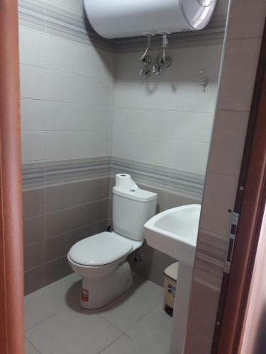 TushemishtBona's Home的一间带卫生间和水槽的浴室