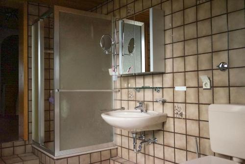 比勒费尔德Entire house, quiet city location, garden, parking的浴室配有盥洗盆和带镜子的淋浴