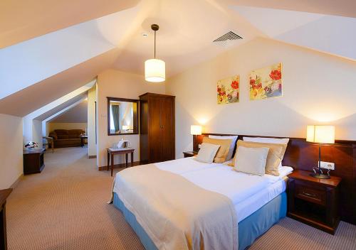 切哈诺维茨Hotel Nowodwory的一间带大床的卧室和一间客厅