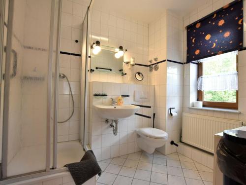 奥斯特巴德里克Modern Apartment in Rerik with Garden的一间带水槽、淋浴和卫生间的浴室