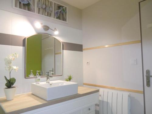 图卢兹:) Grand studio lumineux à Toulouse et parking的浴室设有白色水槽和镜子