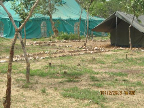 NgomaNaumba Camp and Campsite的野外的帐篷,有一群动物