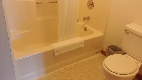 国际瀑布城Falls Motel的带浴缸、卫生间和淋浴的浴室。