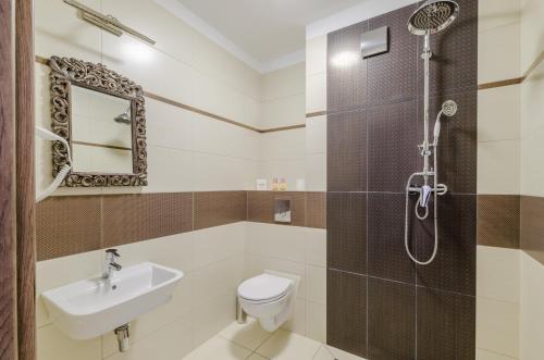 GowidlinoDom Wczasowy Stenka的带淋浴、卫生间和盥洗盆的浴室