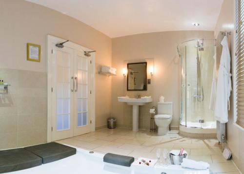 普里茅斯圣伊丽莎白酒店的带淋浴、卫生间和盥洗盆的浴室