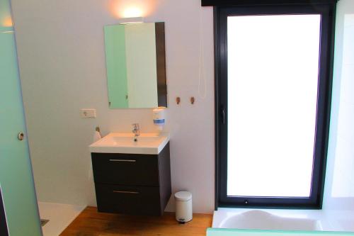 卢安科APARTAMENTOS VALLE DE IROLA的一间带水槽和镜子的浴室