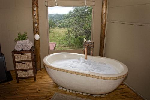 阿马卡拉保护区Bush Lodge – Amakhala Game Reserve的相册照片