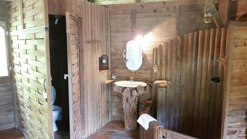 莱昂斯-达赫雷Domaine de Robinson的木墙内带水槽的浴室
