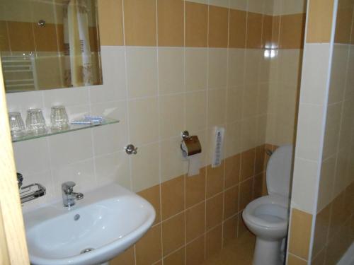 日利纳彭泽恩帕斯酒店的一间带水槽和卫生间的浴室