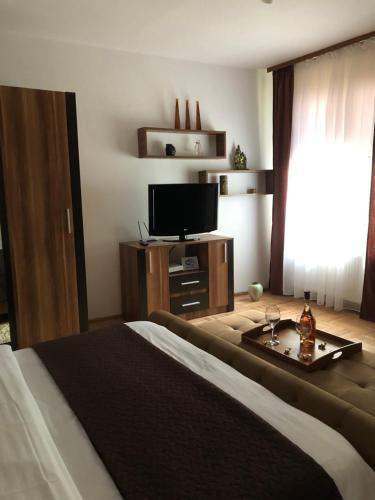 锡比乌Xenopol Central的一间卧室配有一张床和一台平面电视
