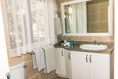 侯斯普瑞特Mawusi Bush Lodge的一间带水槽、镜子和卫生间的浴室