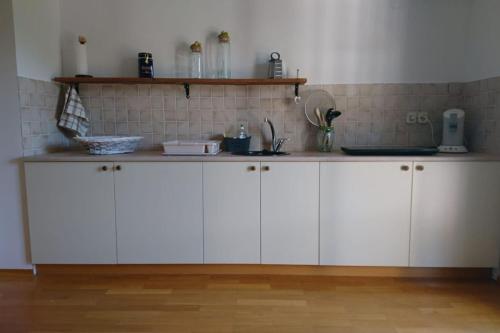 卢布尔雅那Apartma Dolomiti的厨房配有白色橱柜和台面