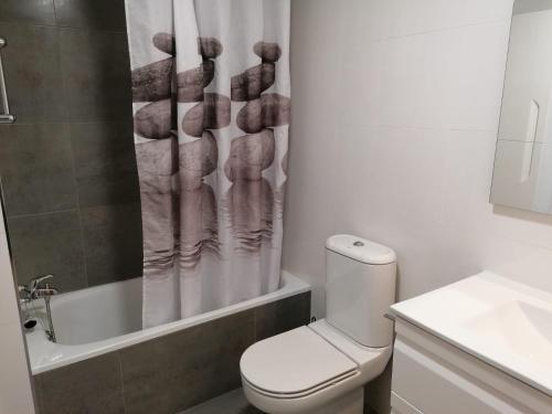 博尔塔纳Apartamento Serreria de Boltaña的一间带卫生间和淋浴帘的浴室