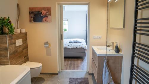 AnsenDe Anselier的一间带卫生间、水槽和床的浴室