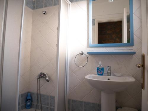 KhlóïStone house的一间带水槽、镜子和淋浴的浴室