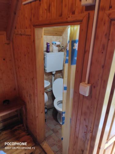 莫伊科瓦茨Bungalovi Vukovic的木屋内的浴室设有卫生间