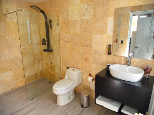圣多明各La Aldea的浴室配有卫生间、盥洗盆和淋浴。