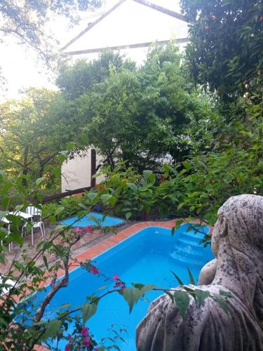 蒙希克Bica Boa的花园中的一个游泳池