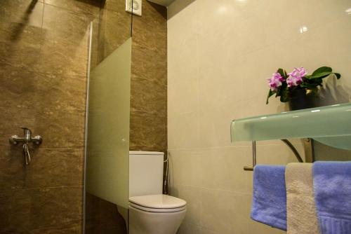 马马亚Complex Sportiv Break的浴室设有卫生间和带紫色毛巾的淋浴。