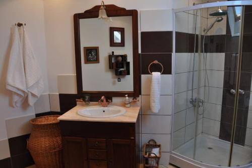 普雷德鲁特Casa Veveritelor的浴室配有盥洗盆和带镜子的淋浴