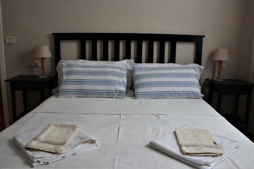 博洛尼亚Anna's Apartment, the Heart of Bologna.的一张带两条毛巾和两个枕头的床
