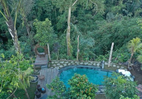 TampaksiringMirah Guest House的森林中央的游泳池
