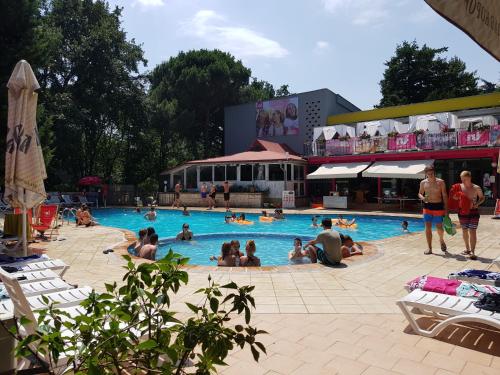金沙Tintyava Park Hotel的一群人坐在游泳池里