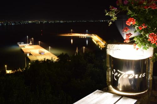 卡塔科隆奥里兹翁特美景酒店的享有夜间水面上的码头景色